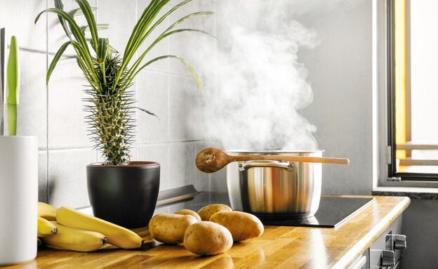 סיר על האש, על התנור (צילום: shutterstock_Gryllus_M)