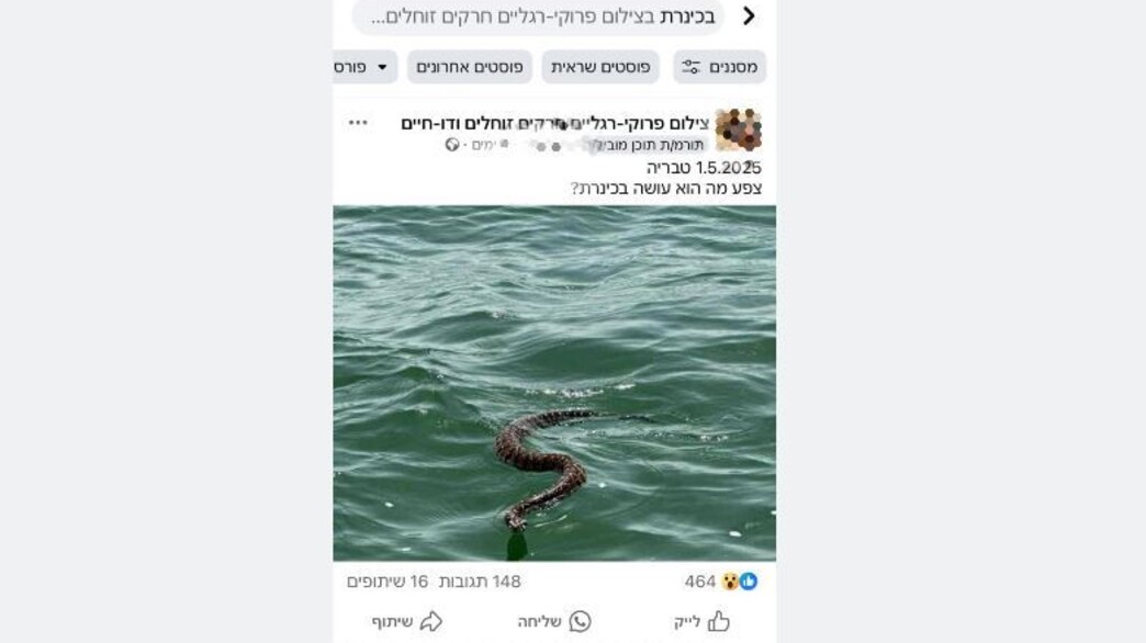 הפוסט מהקבוצה הפוסט מהקבוצה