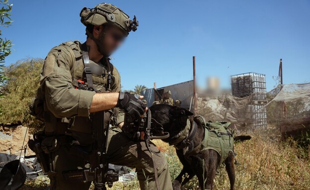 הכוחות ברצועה (צילום: דובר צה