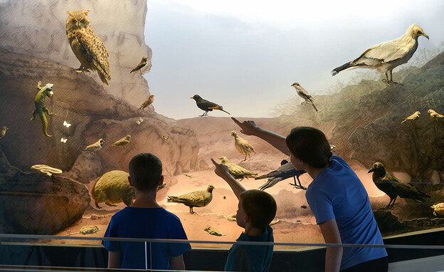 מוזיאון הטבע מוזיאון הטבע