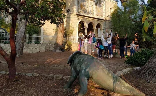 מוזיאון הטבע מוזיאון הטבע