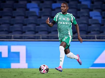 (מאור אלקסלסי) (מאור אלקסלסי)