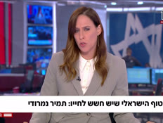 20tamir_vtr2_n20250508_v1 (צילום: חדשות)