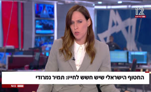 החטוף הישראלי שיש חשש לחייו: תמיר נמרודי 