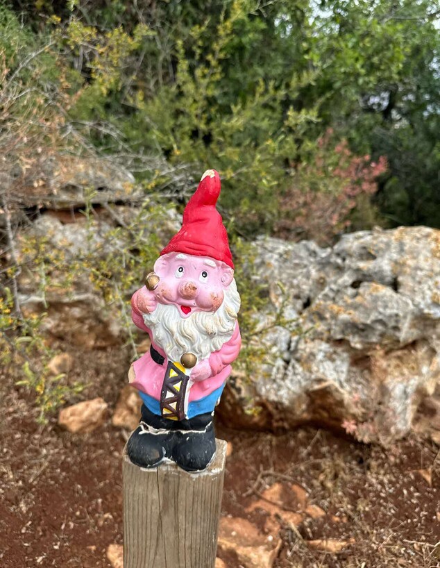 גוש שגב שביל האגדות גמד סימון גוש שגב שביל האגדות גמד סימון