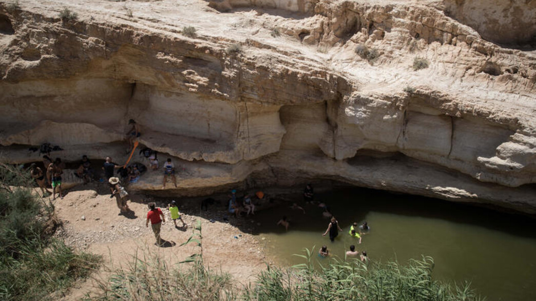 שמורת הטבע עין ירקעם שמורת הטבע עין ירקעם
