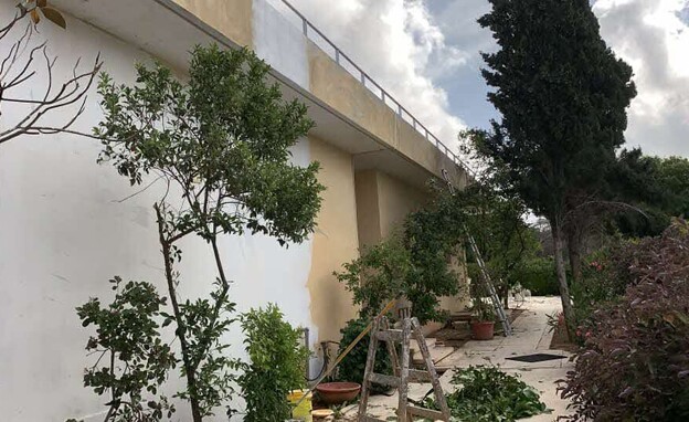 מני נפתלי צביעת קיר (צילום: מני נפתלי)