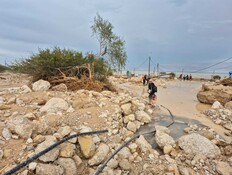 הנזק בעין גדי (צילום: רשות הטבע והגנים)