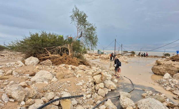 הנזק בעין גדי (צילום: רשות הטבע והגנים)