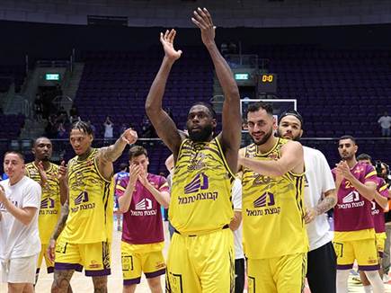 נגיעה מהחצי (אלן שיבר)