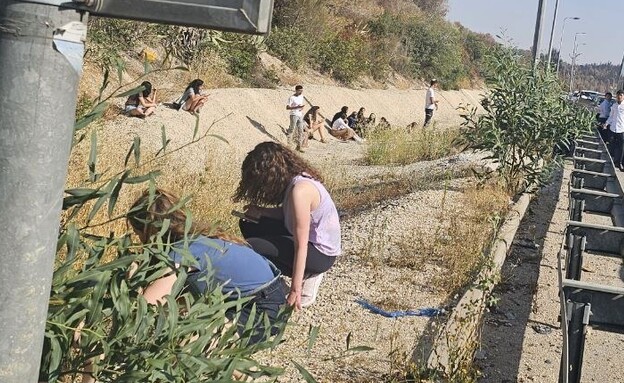 צלחת סדר חג הפסח (צילום: 123rf)