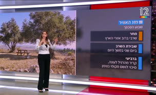 20mezeg_vtr2_n20250510_v1 (צילום: חדשות)