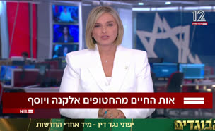 20otthayim_vtr2_n20250510_v1 (צילום: חדשות)