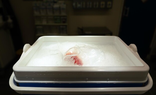 הכבד בצידנית