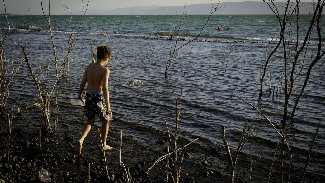 תחזית קיץ תחזית קיץ