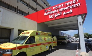 הלל יפה (צילום: הלל יפה)