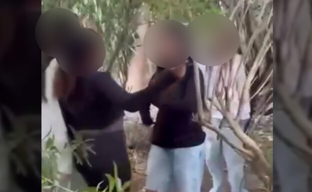 קבוצת נערות תקפו ילדה ביער (צילום: מתוך ערוץ הטלגרם של דניאל עמרם )
