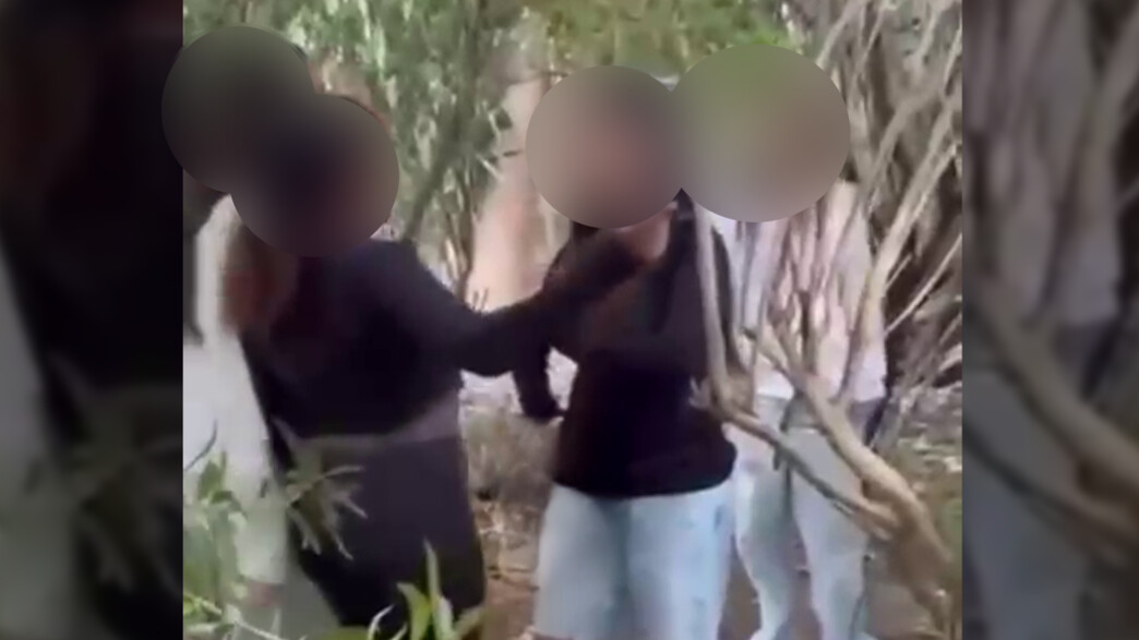 קבוצת נערות תקפו ילדה ביער