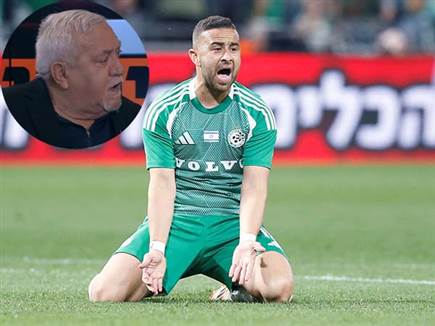 (צילום: אלן שיבר) (צילום: אלן שיבר)