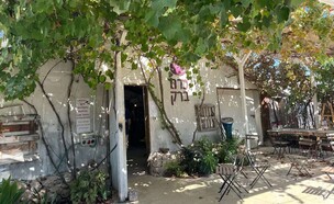 כרם ברק (צילום: דבורין תקשורת)