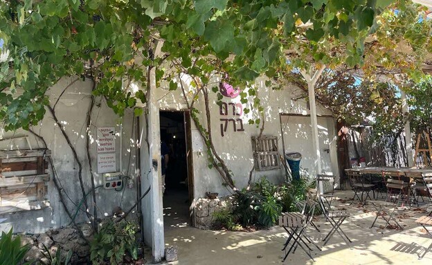 כרם ברק (צילום: דבורין תקשורת)