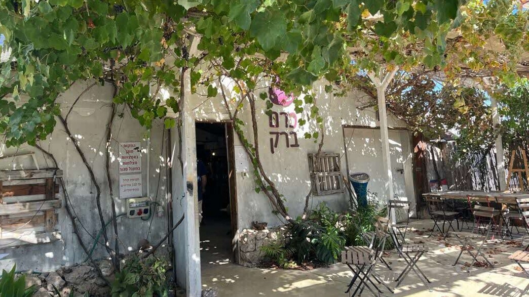 כרם ברק כרם ברק