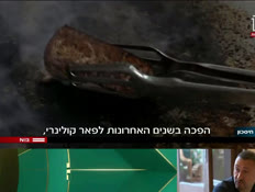 19fish_vtr2_n20250515_v1 (צילום: חדשות)