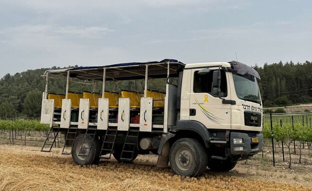 טיולי האלה טיולי האלה