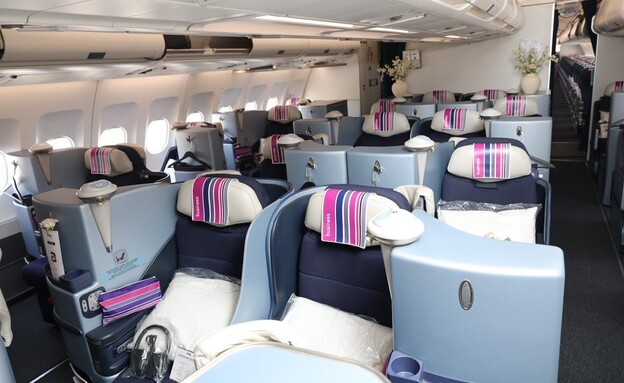 מחלקת עסקים לניו יורק ארקיע