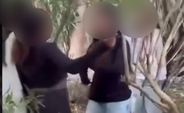 קבוצת נערות תקפו ילדה ביער (צילום: מתוך ערוץ הטלגרם של דניאל עמרם )