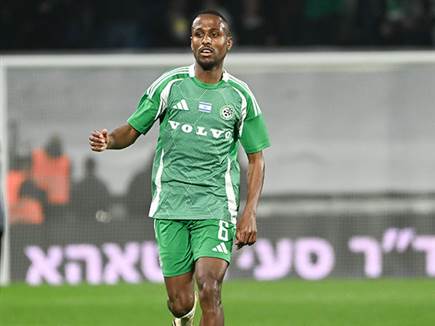 (ברני ארדוב)