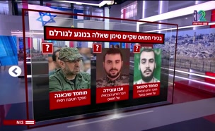 20nisayon_vtr2_n20250514_v1 (צילום: חדשות)