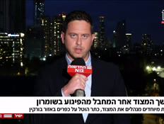 20nitzanpigua_vtr2_n20250515_v1 (צילום: חדשות)