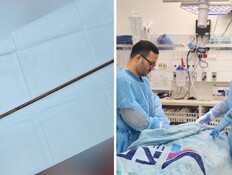 הצוות בפוריה והמוט (צילום: פוריה)