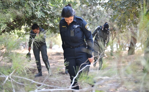 החיפושים אחר גופתו של ניסים שטרית ביער אשתאול (צילום: דוברות המשטרה)