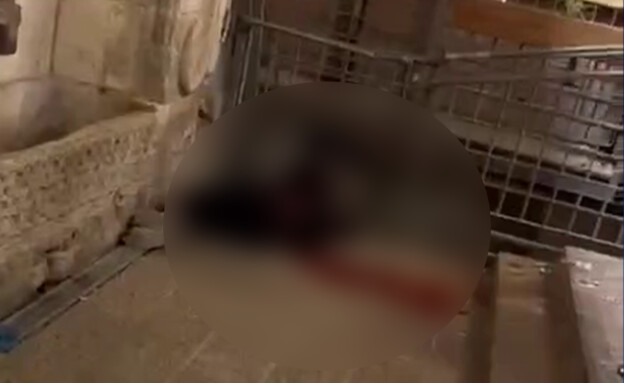 המחבל המפגע בשער השלשלת (צילום: לפי סעיף 27 א')
