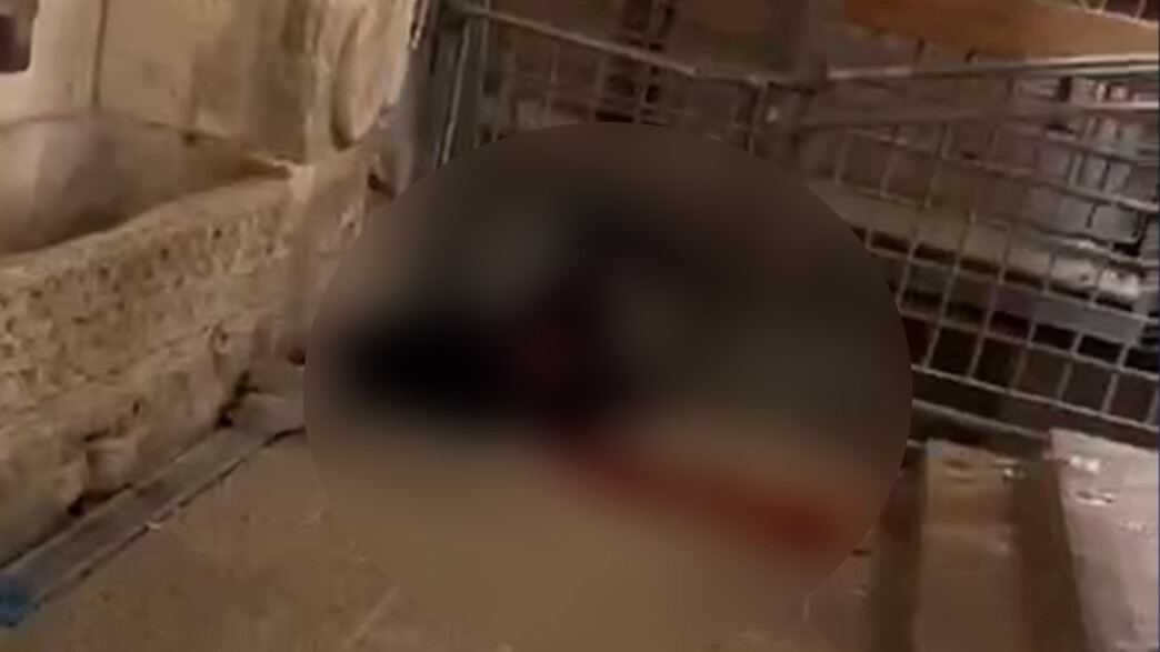 המחבל המפגע בשער השלשלת המחבל המפגע בשער השלשלת