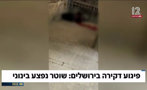 pifgua_vtr2_n20250516_v1 (צילום: חדשות)