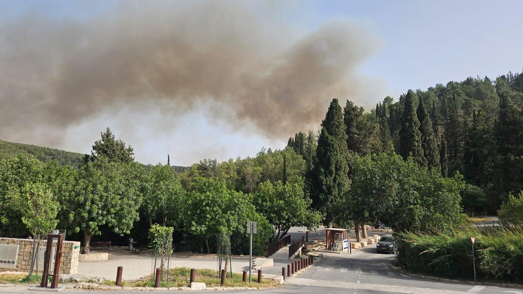 שריפה באזור נחל השופט שריפה באזור נחל השופט