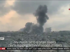 20shnaayder_vtr2_n20250518_v1 (צילום: חדשות)