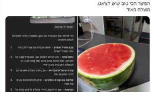 הצ'אט בוחר אבטיח (צילום: twitter)