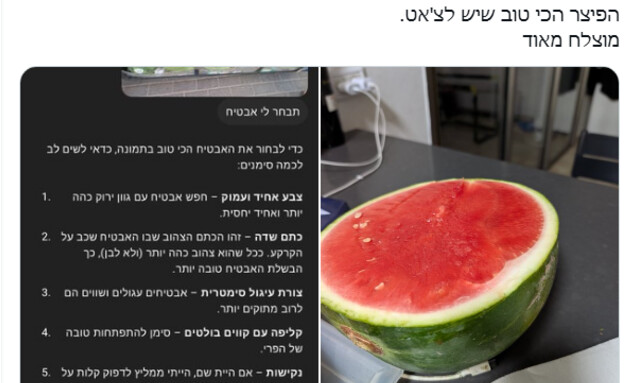 הצ'אט בוחר אבטיח (צילום: twitter)