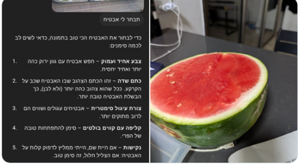 הצ'אט בוחר אבטיח (צילום: twitter)