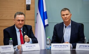 יולי אדלשטיין וישראל כ"ץ בוועדת החוץ והביטחון (צילום: נועם מושקוביץ, דוברות הכנסת)