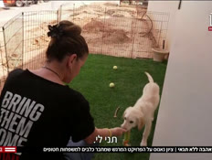 20zionnanaaes_vtr2_n20250519_v1 (צילום: חדשות)