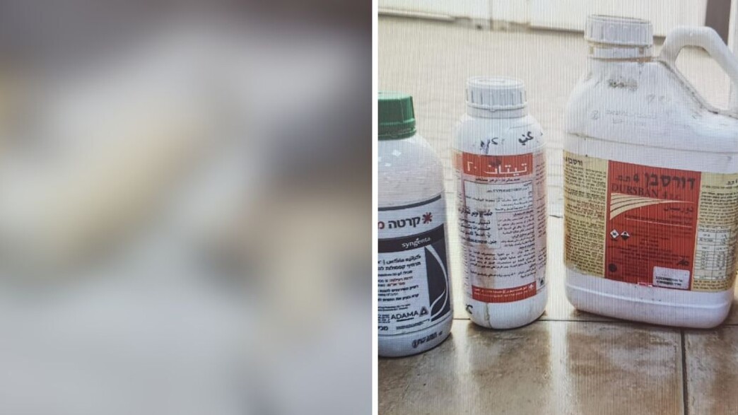 נור שיבלי הרעיל את הכלבים בגלל סכסוך על אדמות