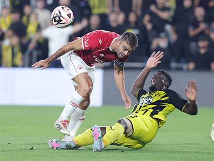 במטרה להבטיח אירופה (צילום: אלן שיבר)