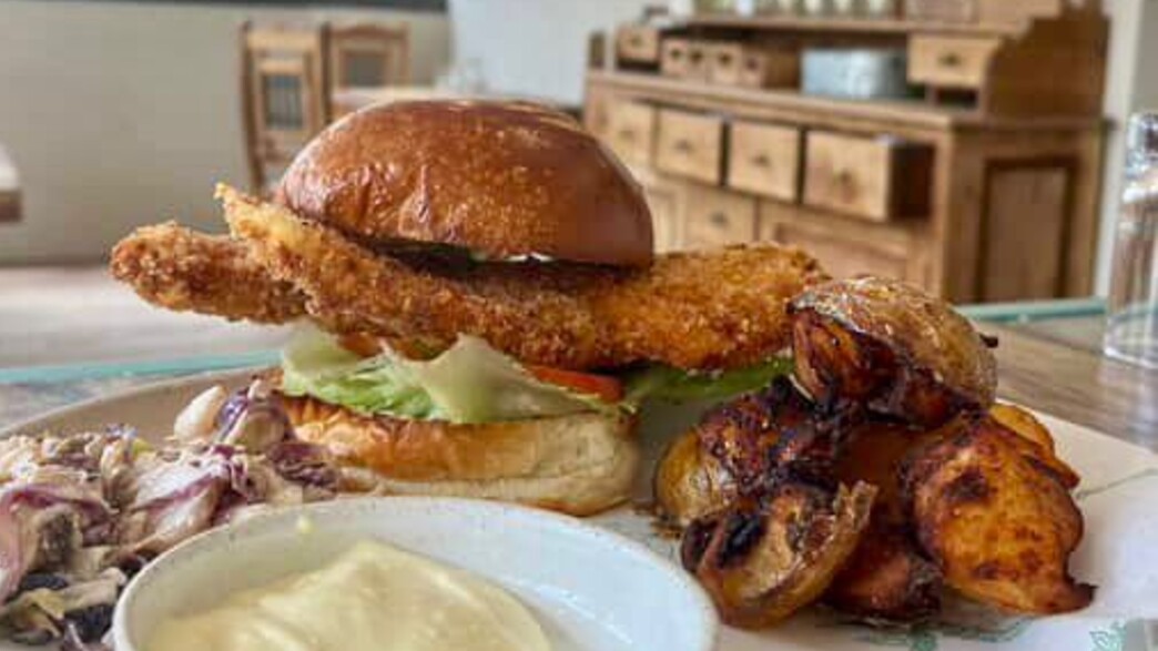 תפריט צהריים - זיגו תפריט צהריים - זיגו