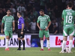 sportFive1557389 (צילום: ספורט 5)