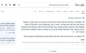 AI Overviews (צילום: google)
